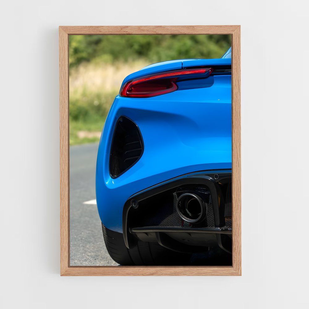 Poster Emira D'un – affiche Lotus (vue 4)